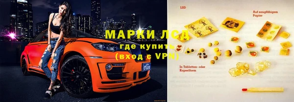 прущие грибы Пролетарск