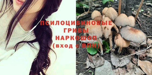 прущие грибы Пролетарск