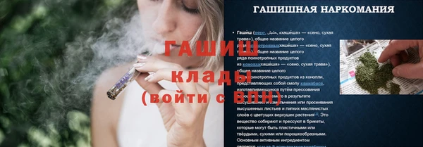 прущие грибы Пролетарск